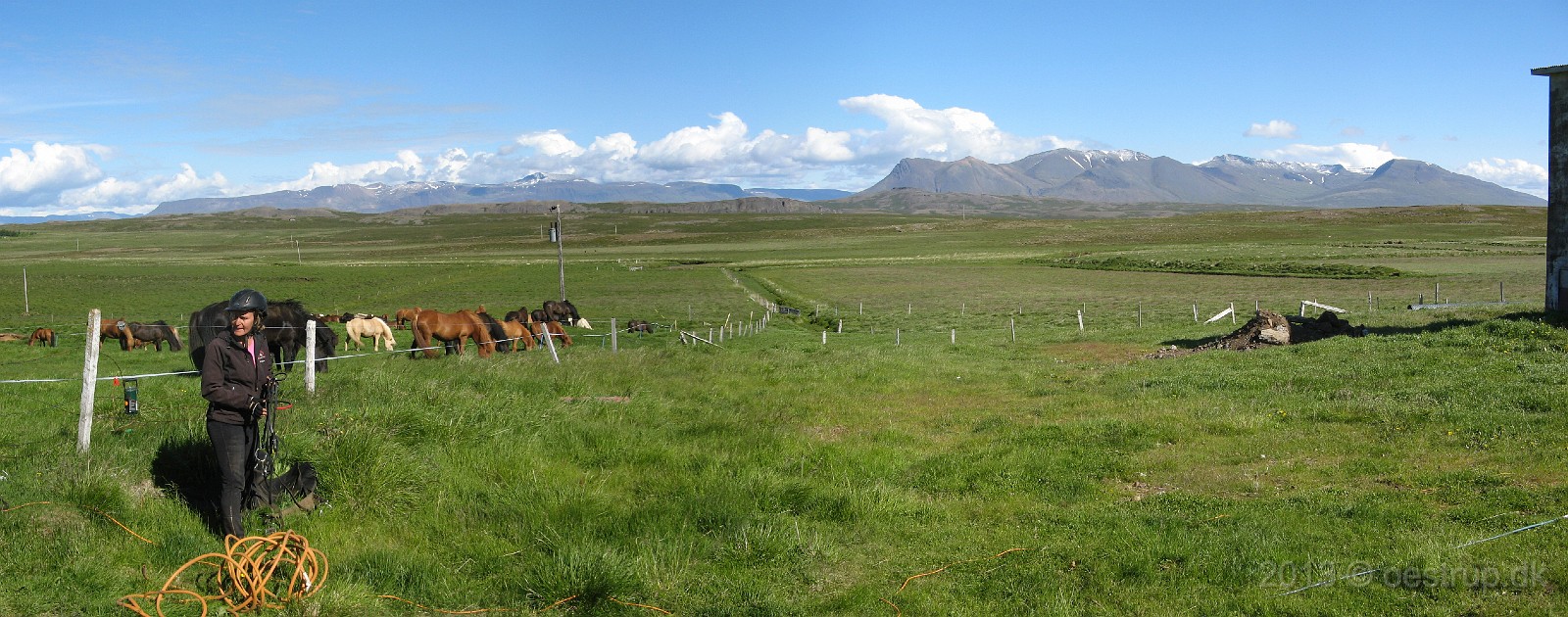 IMG_1119 Panorama.jpg